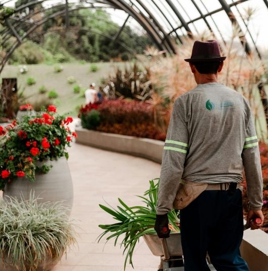 Paisagismo e Jardinagem
