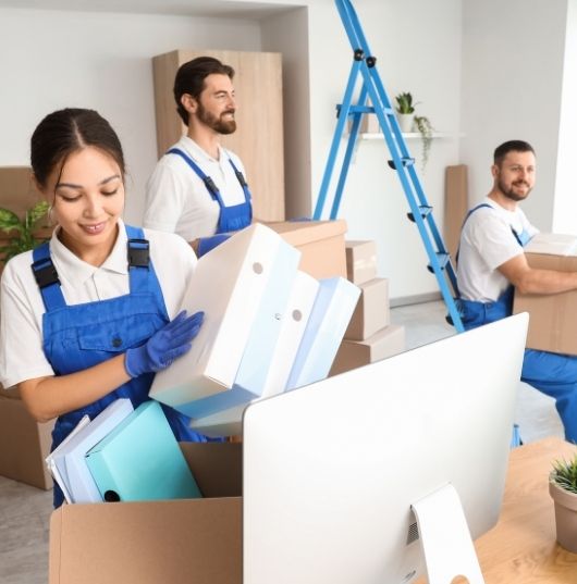 serviço de pré-mudança